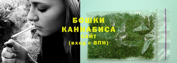 молекула духа Кулебаки