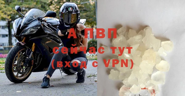 молекула духа Кулебаки