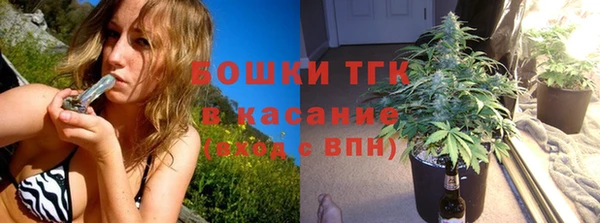PSILOCYBIN Ладушкин