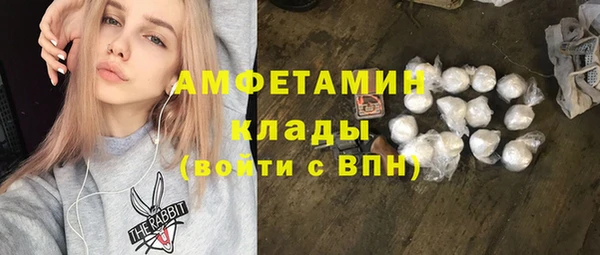 молекула духа Кулебаки