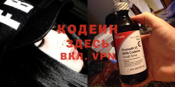 молекула духа Кулебаки