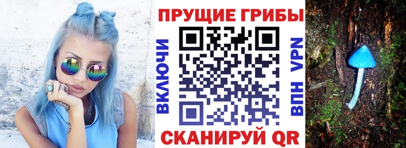 Купить  Котельники  Галлюциногенные грибы мухоморы 
